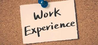 work experience picture